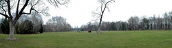 parkting.jpg