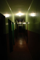 DSC_1934.jpg