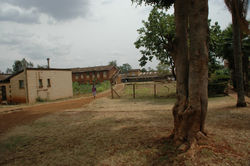 DSC_2016.jpg