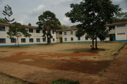 DSC_2017.jpg