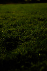 _DSC5552.jpg