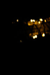_DSC5560.jpg