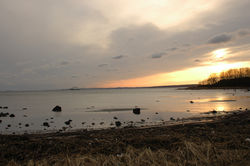 Jeløy