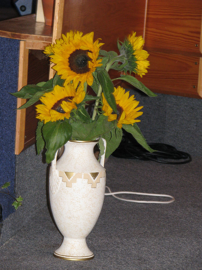 IMG_1767.jpg