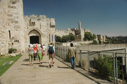 DSC_7815.jpg