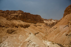 DSC_7861.jpg